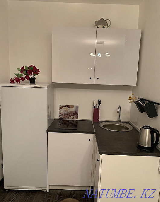 Rent a large house with a good repair Almaty - photo 2