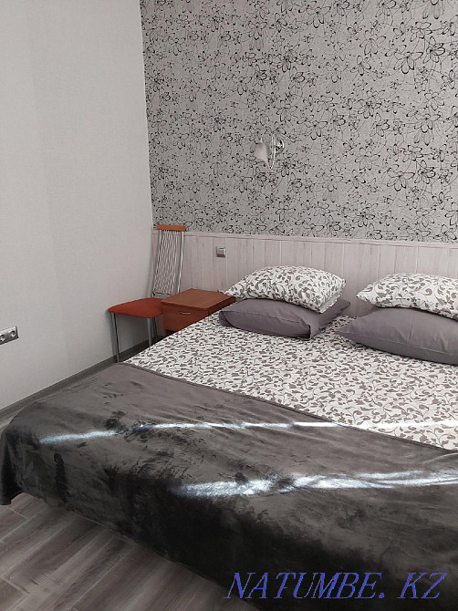 Rent a big house Almaty - photo 3