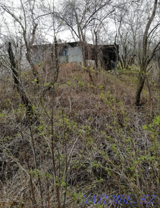 Rent a cottage Almaty - photo 1