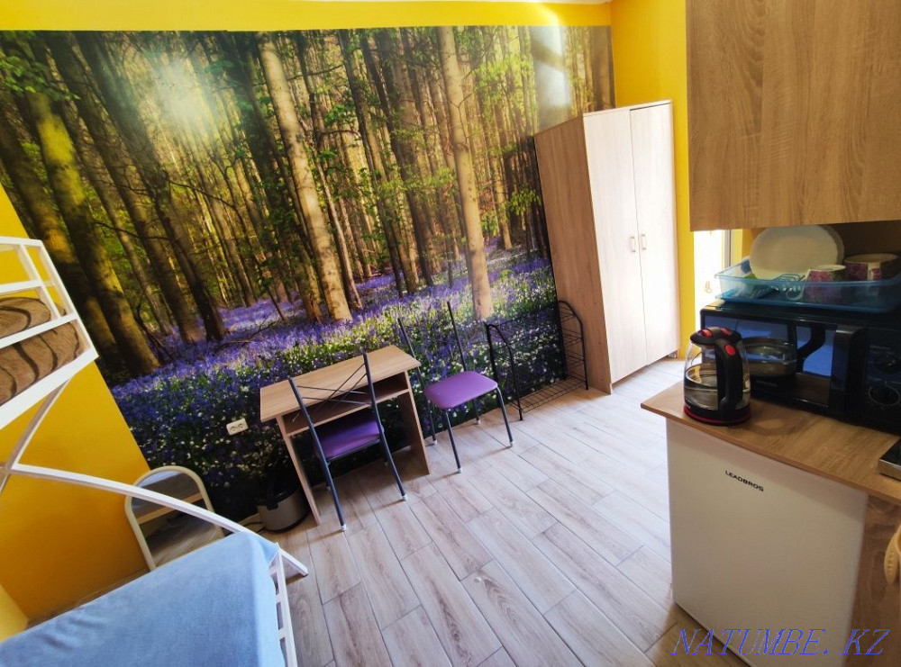 Для 2 ДЕВУШЕК район Тастака Алматы - изображение 2