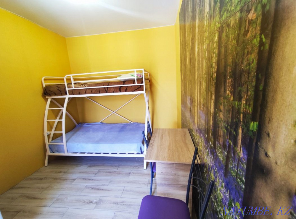 Для 2 ДЕВУШЕК район Тастака Алматы - изображение 3