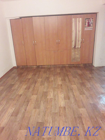 1 room apartment for rent Kaskelene Almaty - photo 2
