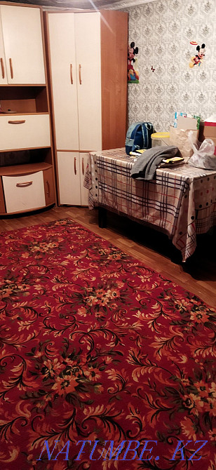 Temporary house for rent 2 rooms wardrobe kitchen and toilet Almaty - photo 3