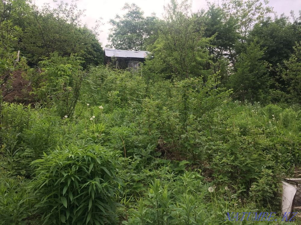   участок   Алматы - изображение 2