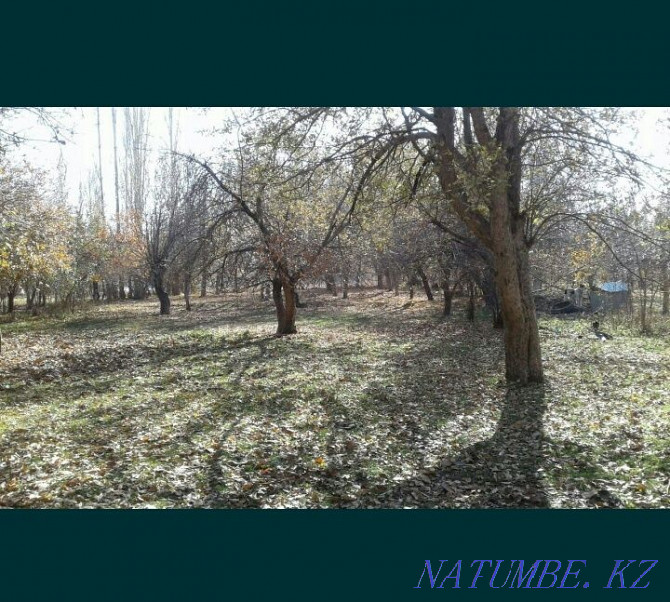   plot  Almaty - photo 2