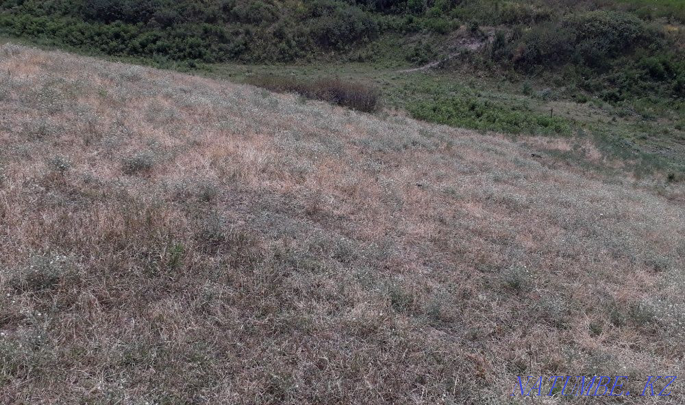   участок   Алматы - изображение 1