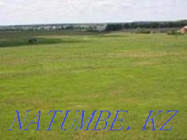  region  Almaty - photo 1