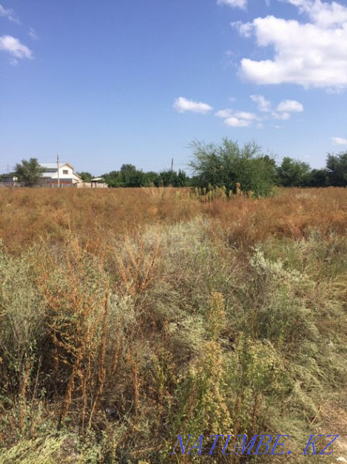 plot Almaty - photo 2