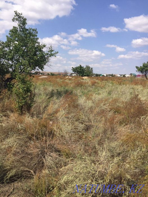 plot Almaty - photo 3