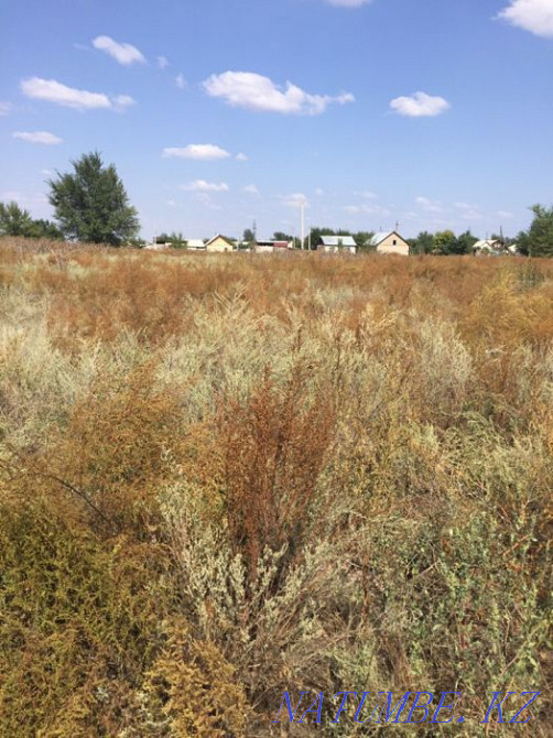 plot Almaty - photo 4