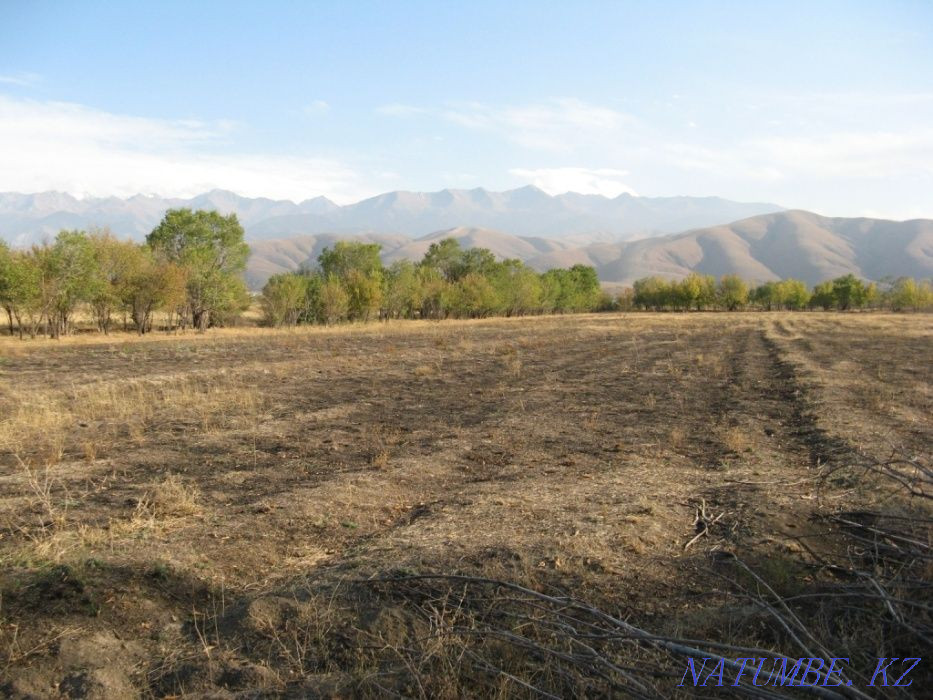 plot Almaty - photo 1