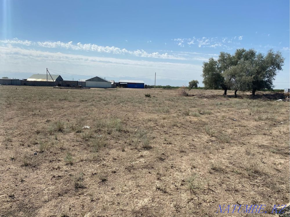 plot Almaty - photo 3