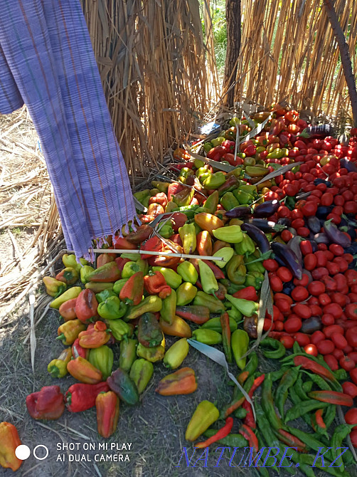   участок   Алматы - изображение 8