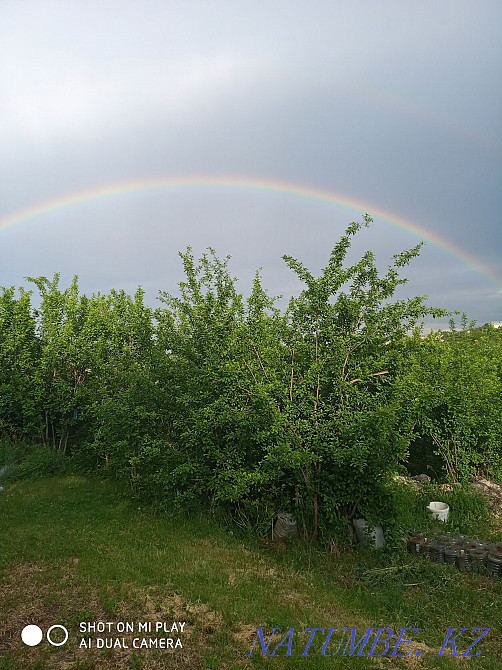   участок   Алматы - изображение 12