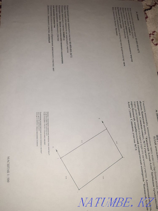  region  Almaty - photo 2