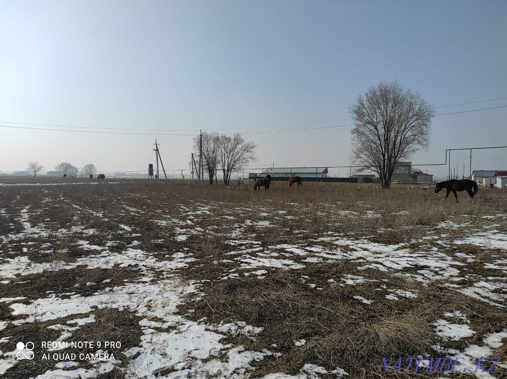   участок   Алматы - изображение 5