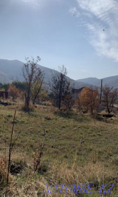  region  Almaty - photo 5