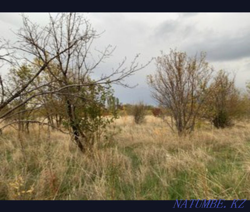  region  Almaty - photo 1