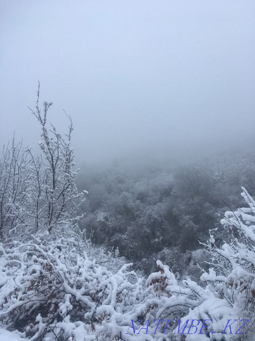  region  Almaty - photo 6