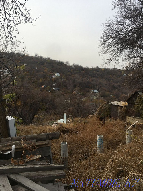  region  Almaty - photo 5