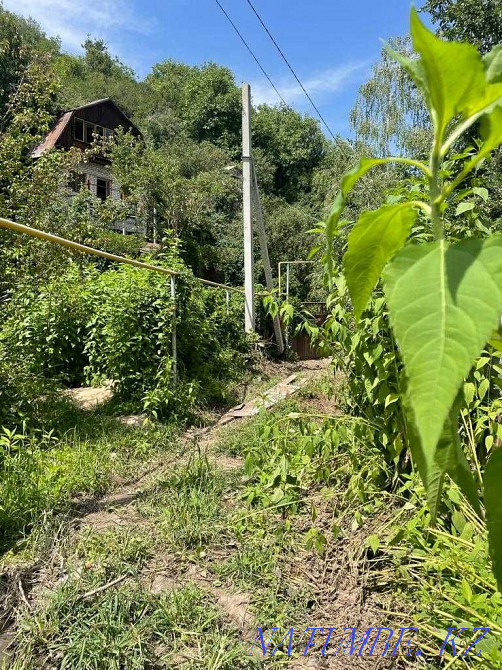  region  Almaty - photo 5