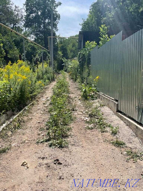  region  Almaty - photo 6