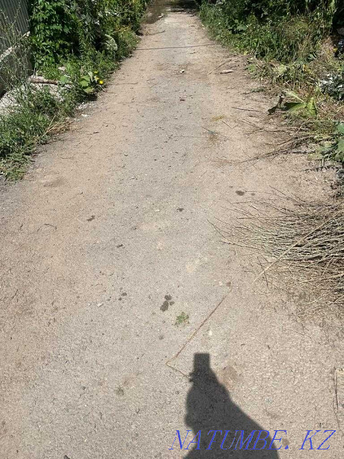  region  Almaty - photo 7