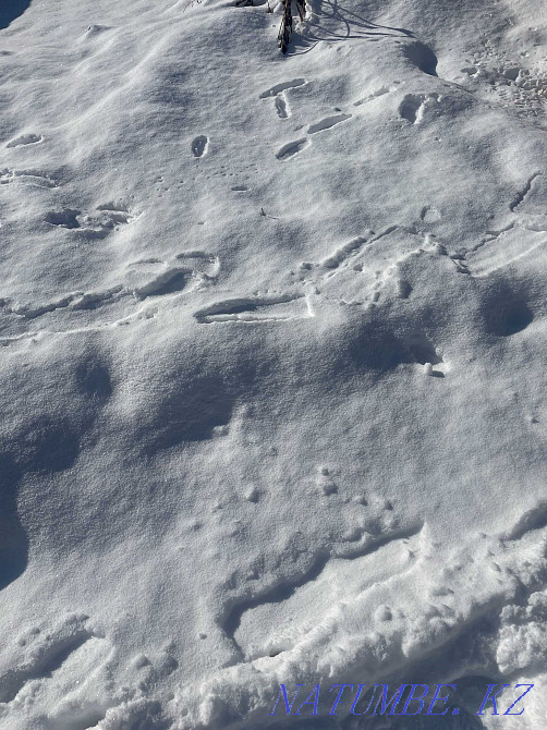  region  Almaty - photo 10