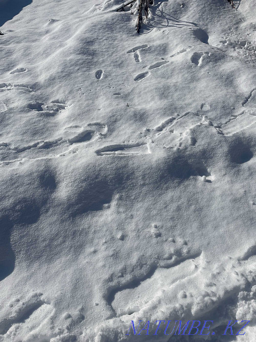  region  Almaty - photo 9