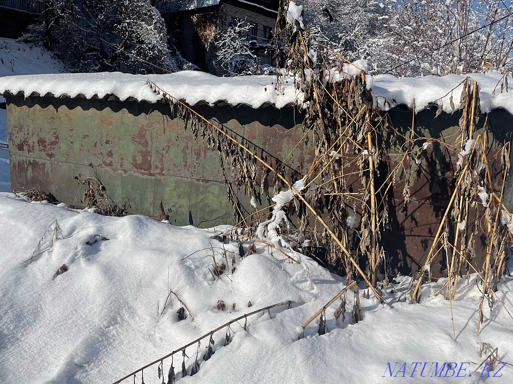  region  Almaty - photo 11