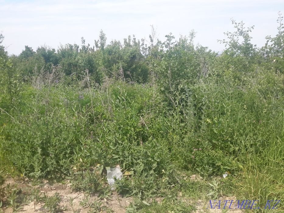   участок   Алматы - изображение 4