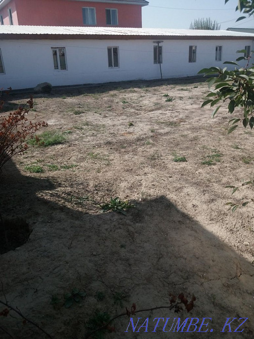 plot Almaty - photo 5