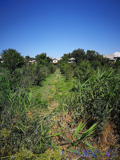   участок   Алматы - изображение 3