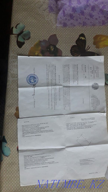  region  Almaty - photo 3