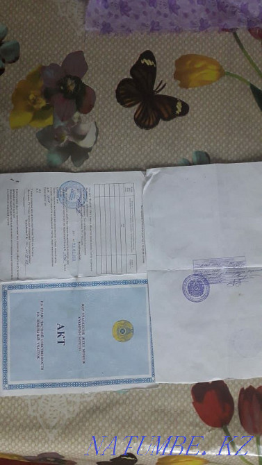  region  Almaty - photo 5