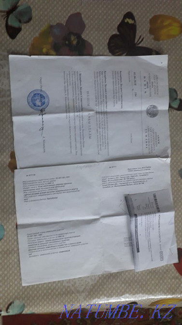  region  Almaty - photo 6