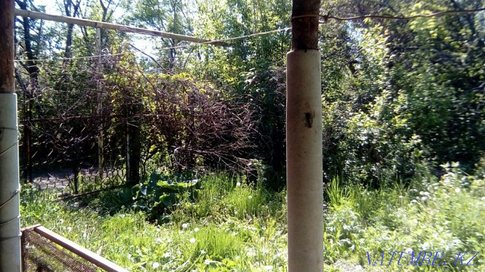 plot Almaty - photo 2