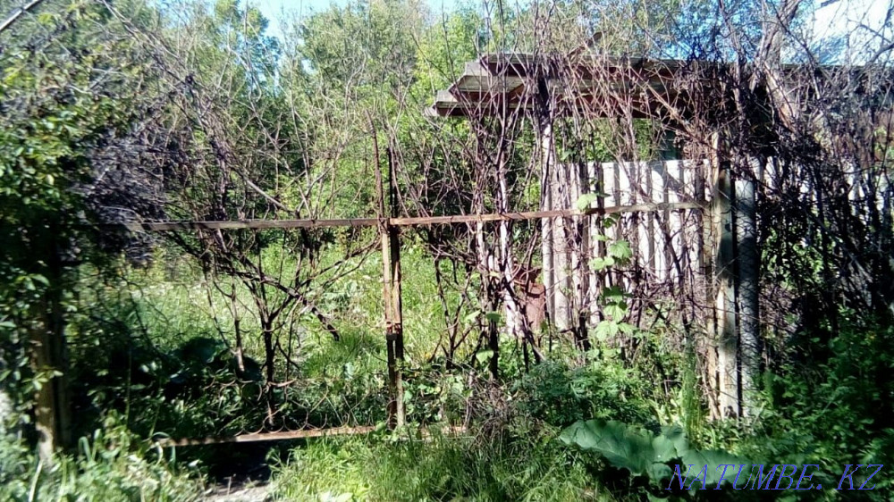 plot Almaty - photo 4