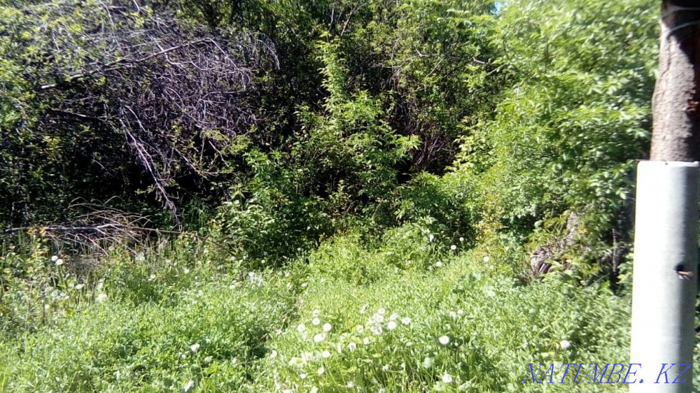 plot Almaty - photo 1