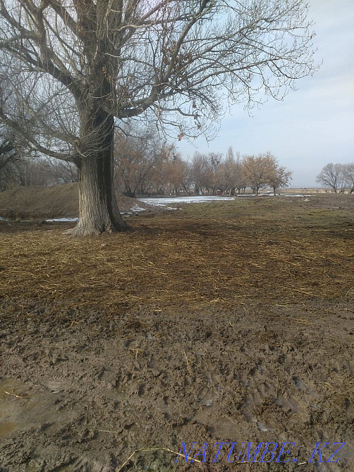   участок  Алматы - изображение 3