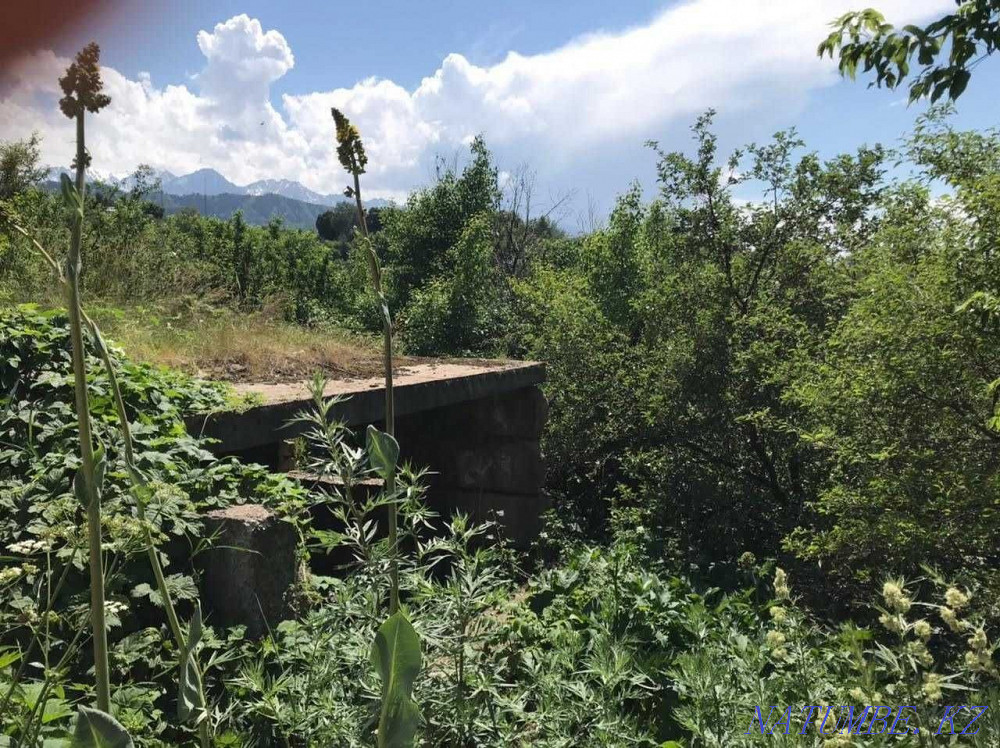  region  Almaty - photo 14