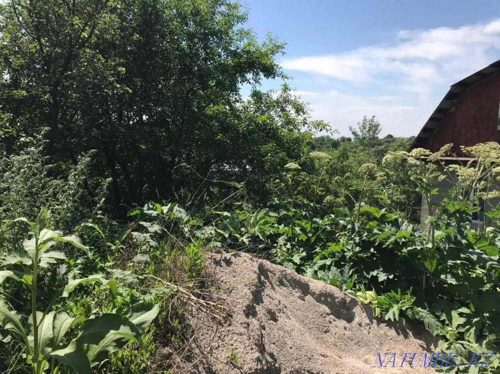  region  Almaty - photo 10