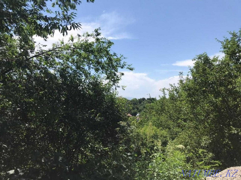  region  Almaty - photo 13