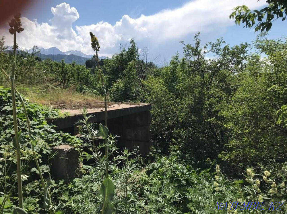  region  Almaty - photo 12