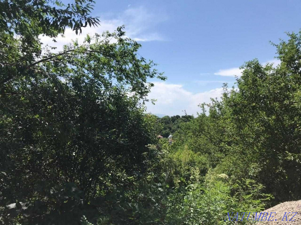  region  Almaty - photo 15