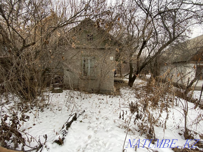 plot Almaty - photo 1