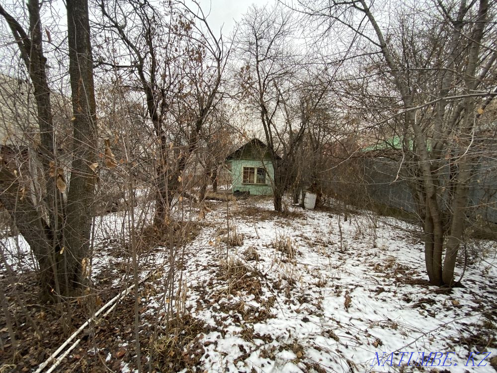   сюжет   Алматы - изображение 5