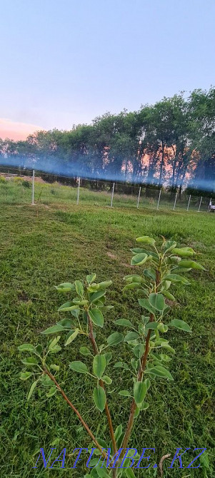   участок   Алматы - изображение 1