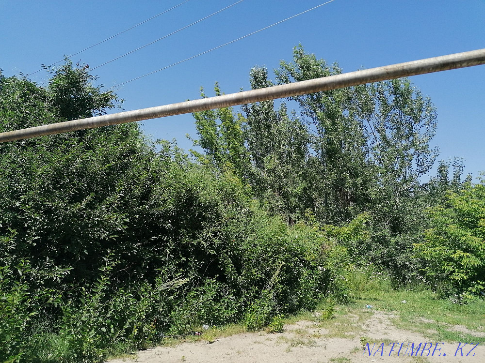  region  Almaty - photo 8