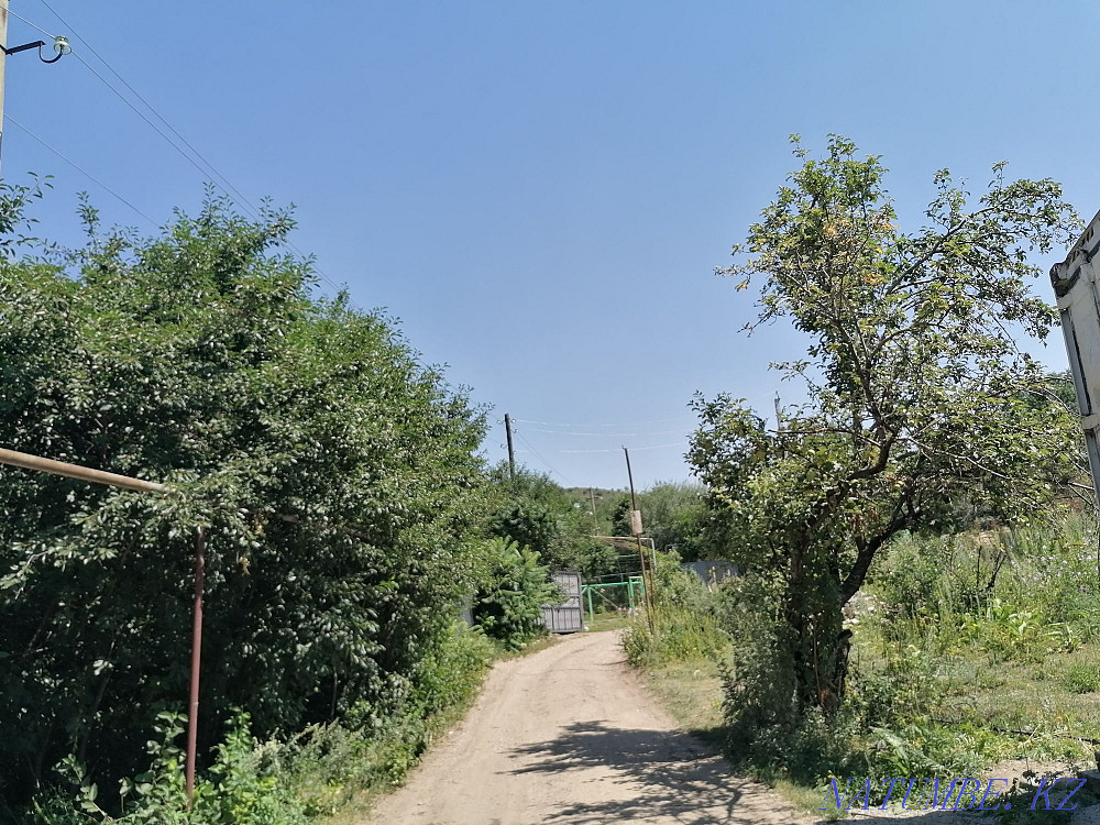  region  Almaty - photo 9